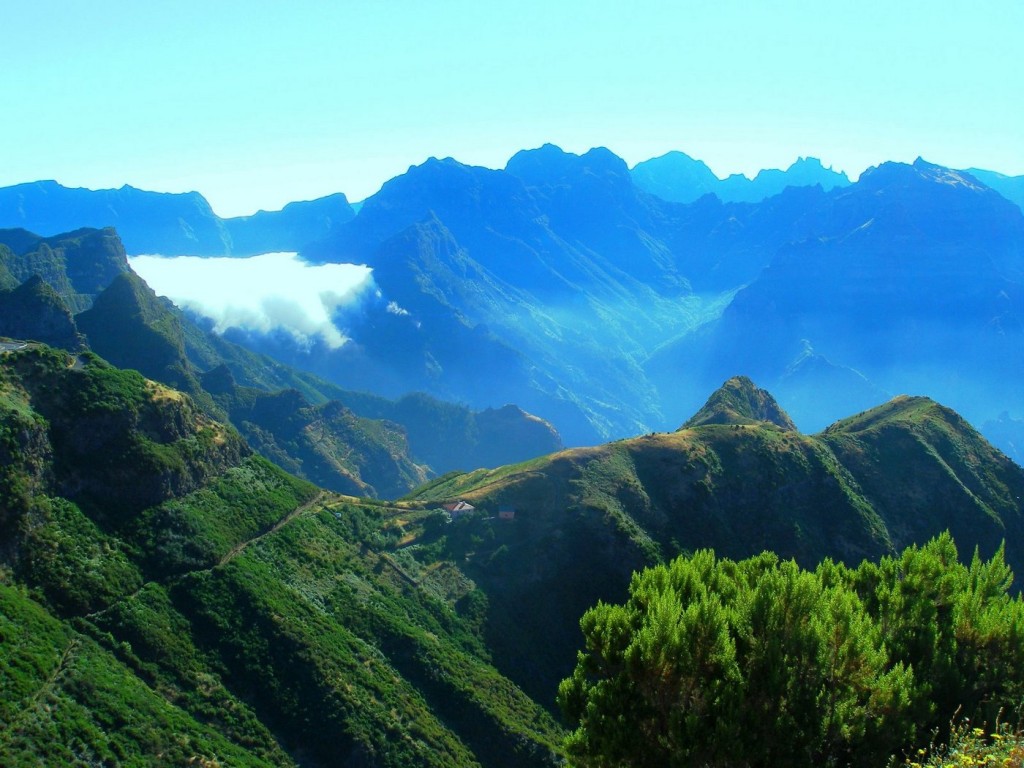 Madeira Levadas